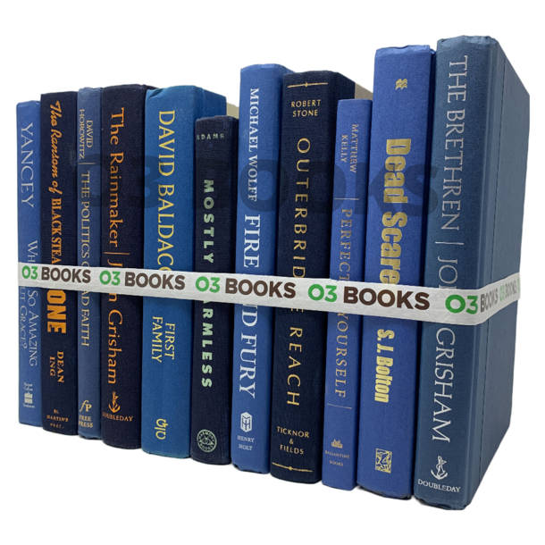 O3 Books Navy Blue Decorative Books Wayfair